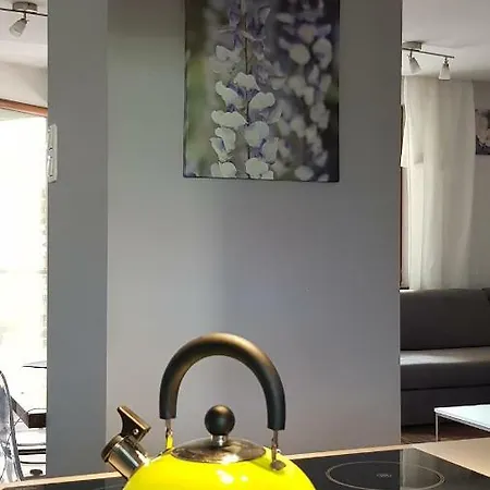 Big House 130m2 Appartement Wieliczka